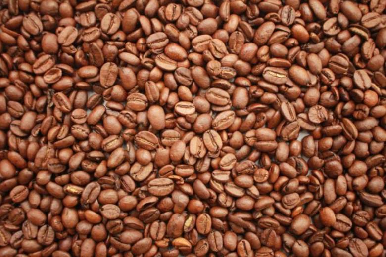 ソムリエ監修】エチオピアコーヒーのおすすめ人気ランキング12選