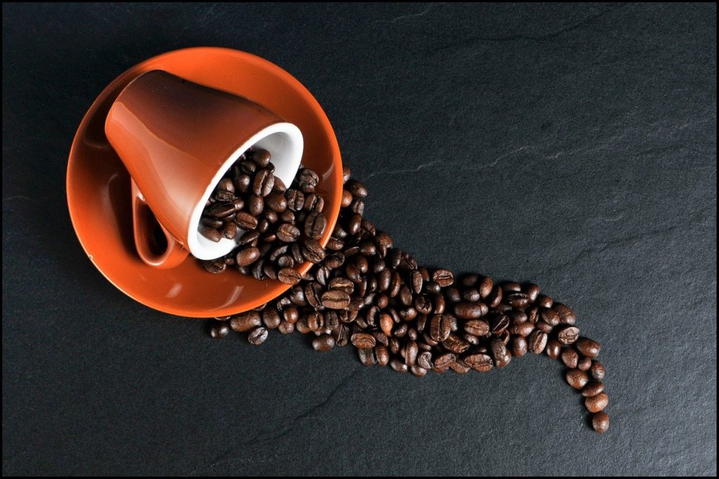 コーヒー豆の3大原種の1つであるアラビカ種