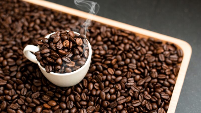 ティピカ種のコーヒーを一度試してみよう！