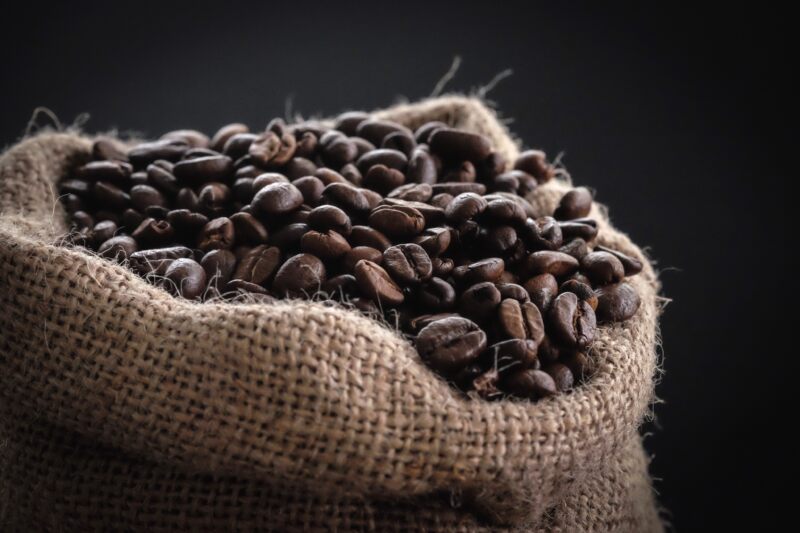 コーヒーの人気品種「ブルボン」とは？