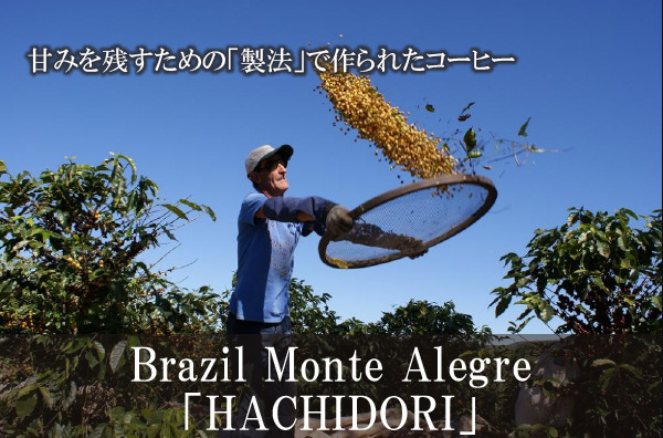 4. 豊かな甘味を楽しめるコーヒー「ブラジル・モンテアレグレ農園ハチドリ」