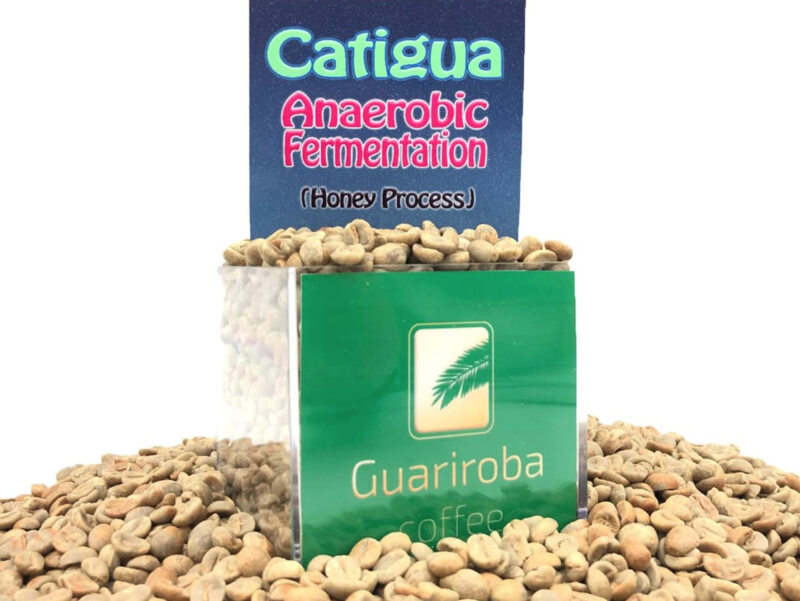 Guariroba Coffees スペシャルティコーヒー ブラジル グアリロバ農園