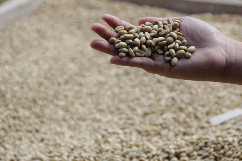 アフリカ系のコーヒー豆の特徴