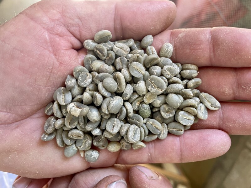 2023年6月】グアテマラコーヒーのおすすめ人気ランキング17選！ コーヒー豆研究所